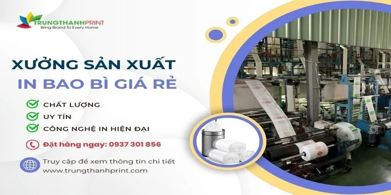 Quy Trình In Bao Bì Túi Nilon Số Lượng Ít Tại TPHCM