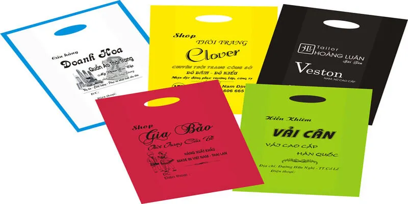 Lý Do Nên Chọn Công Ty In Túi Nilon Tại Hà Nội?